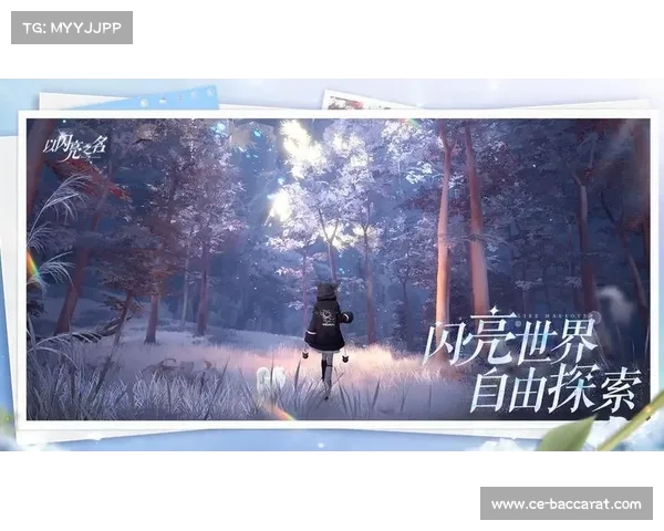 PC端闪亮之名启动游戏无响应解决方法汇总 PC端闪亮之名启动游戏无响应解决方法汇总