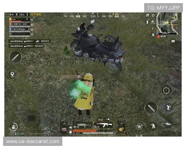 和平精英游戏中的成长与团队合作精神对我们生活的启示